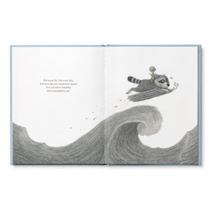 Chasing Dreams Book