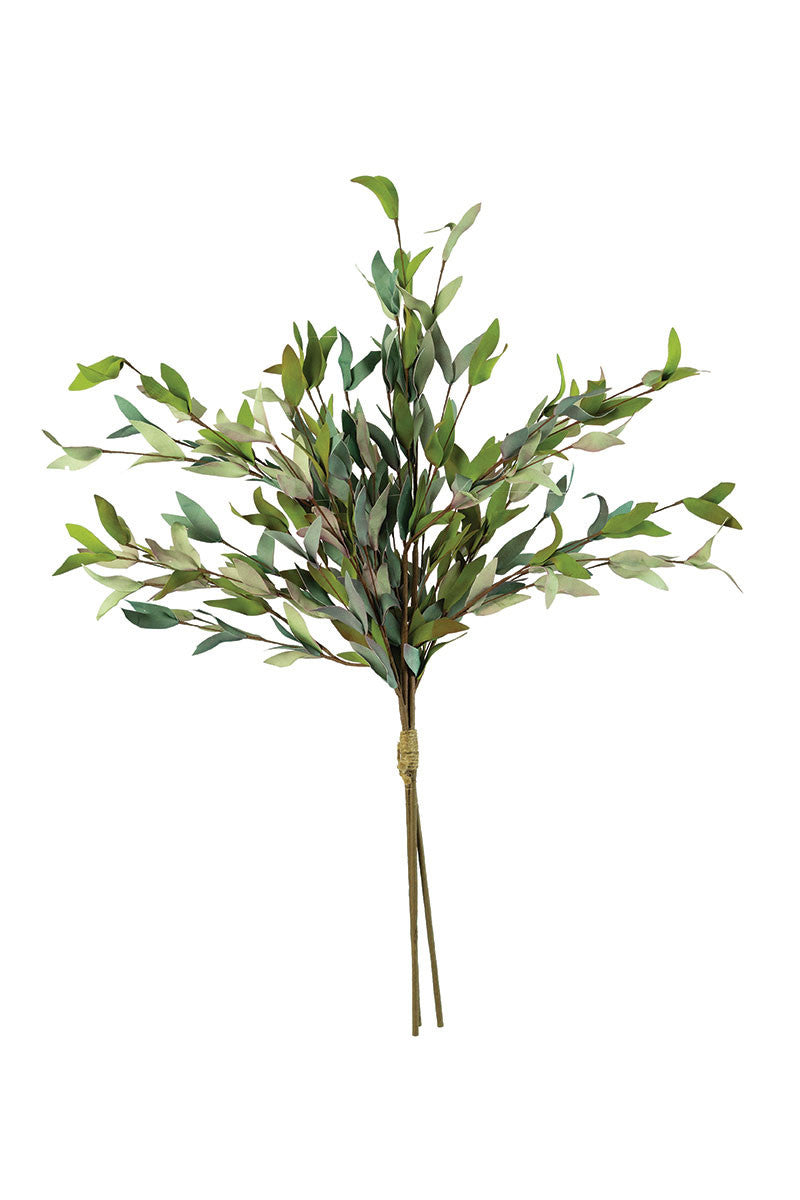 Botanicas