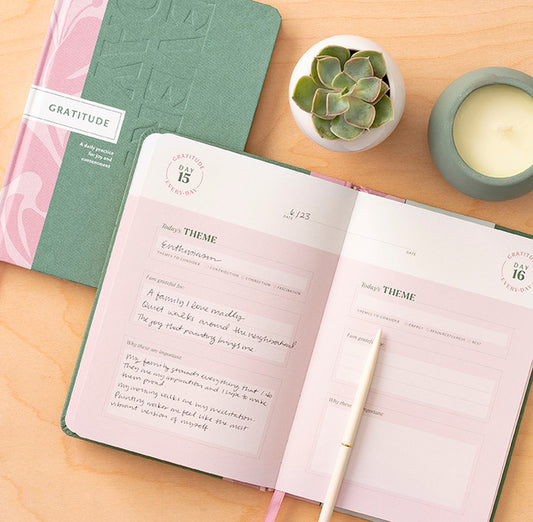 Gratitude Every Day, Guided Journal