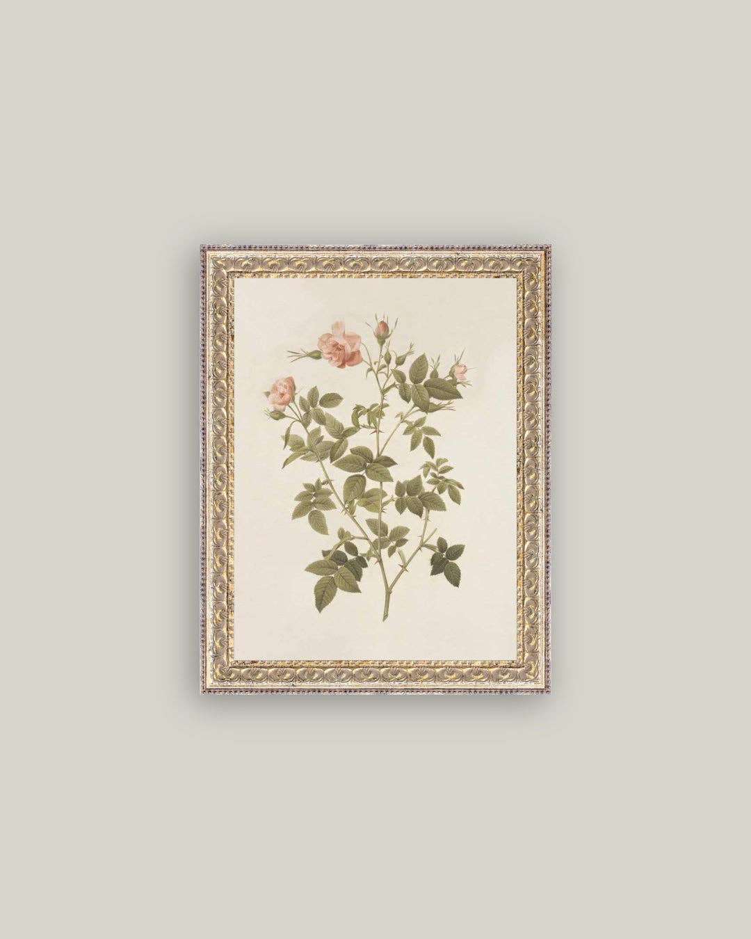 Rosa Framed Antique Art