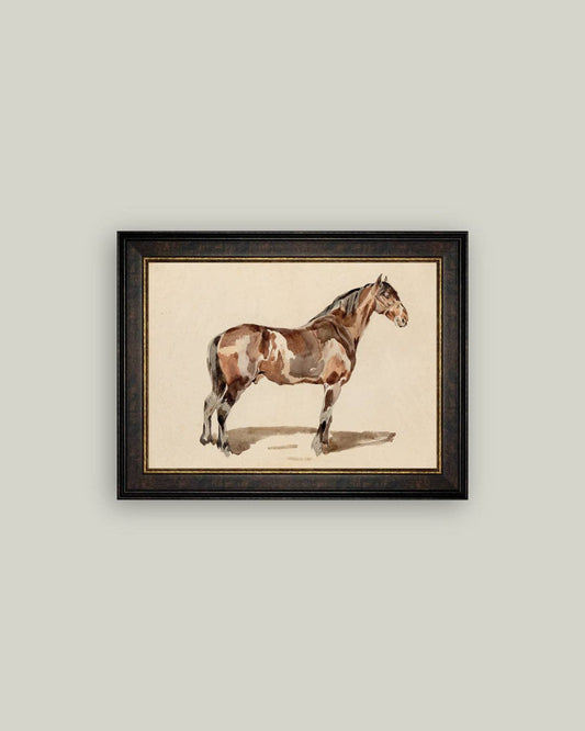 A Bay Horse Framed Antique Art, 2 sizes