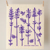 Kei &Molly Sponge Cloths, 5 styles