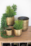 Metal Flower Pots \ Aged Brass Finish, 4 sizes