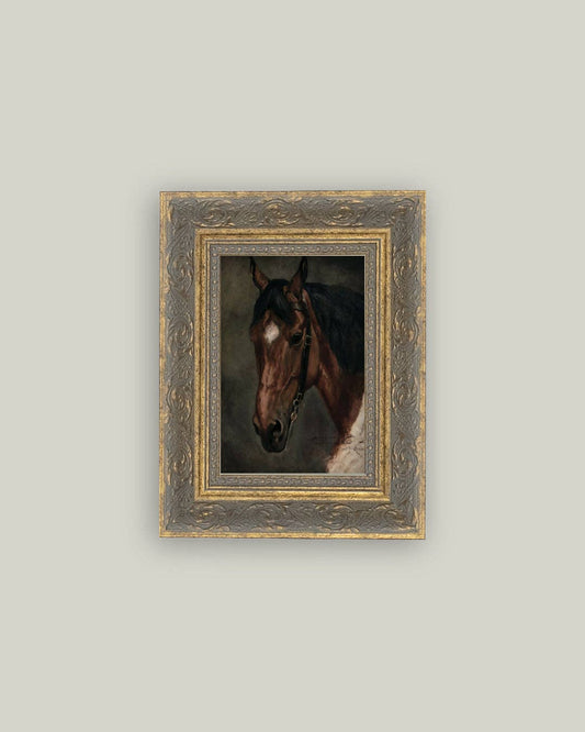 Horse Portrait