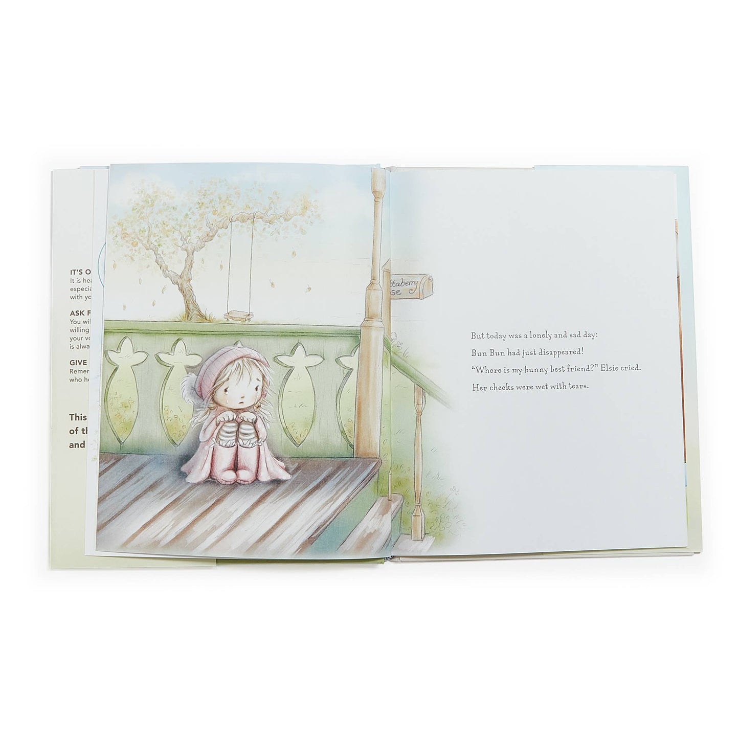 Bun Bun A Lovey Story Book
