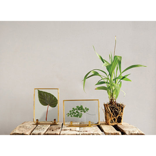 Brass & Glass Standing Photo Frame