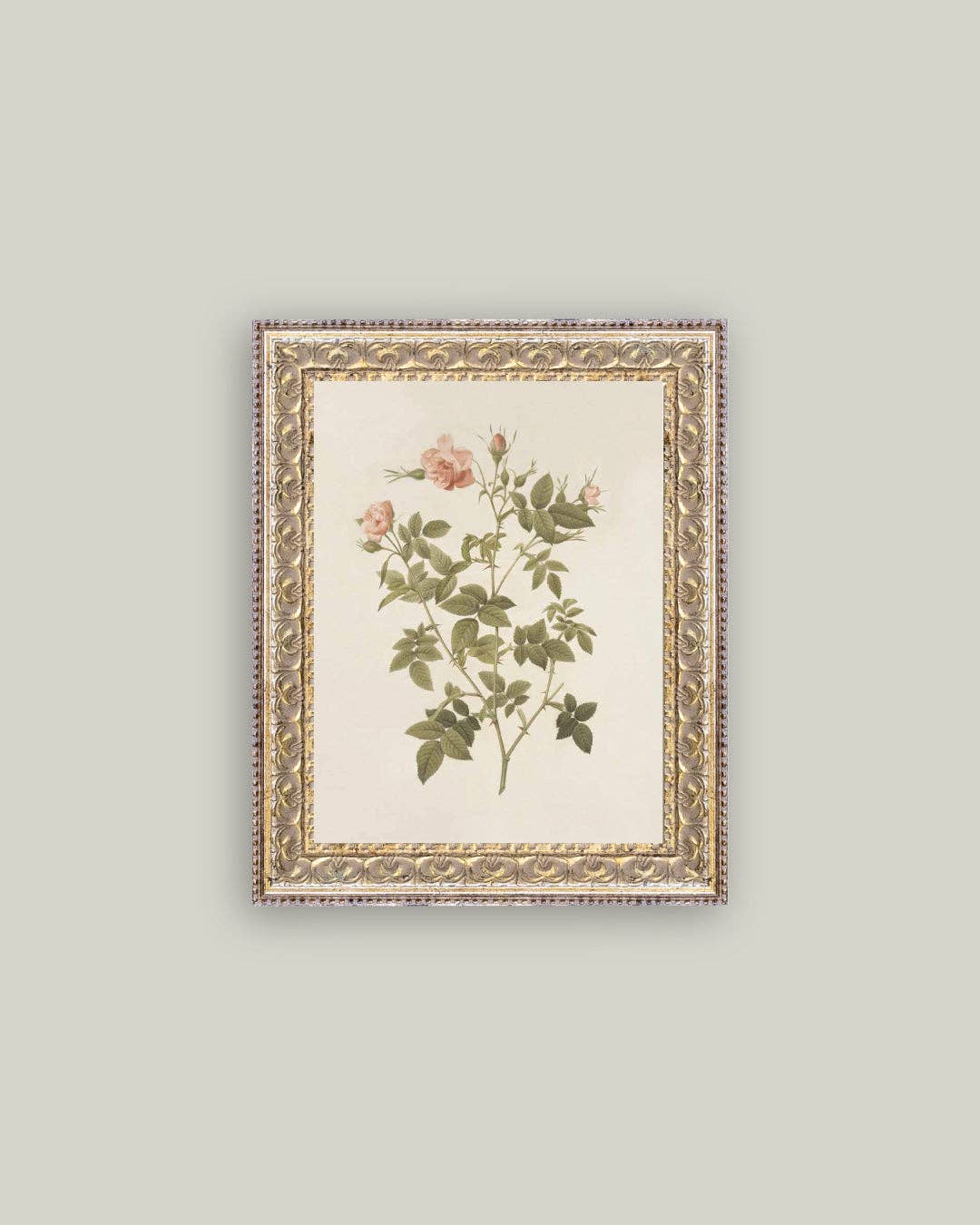 Rosa Framed Antique Art