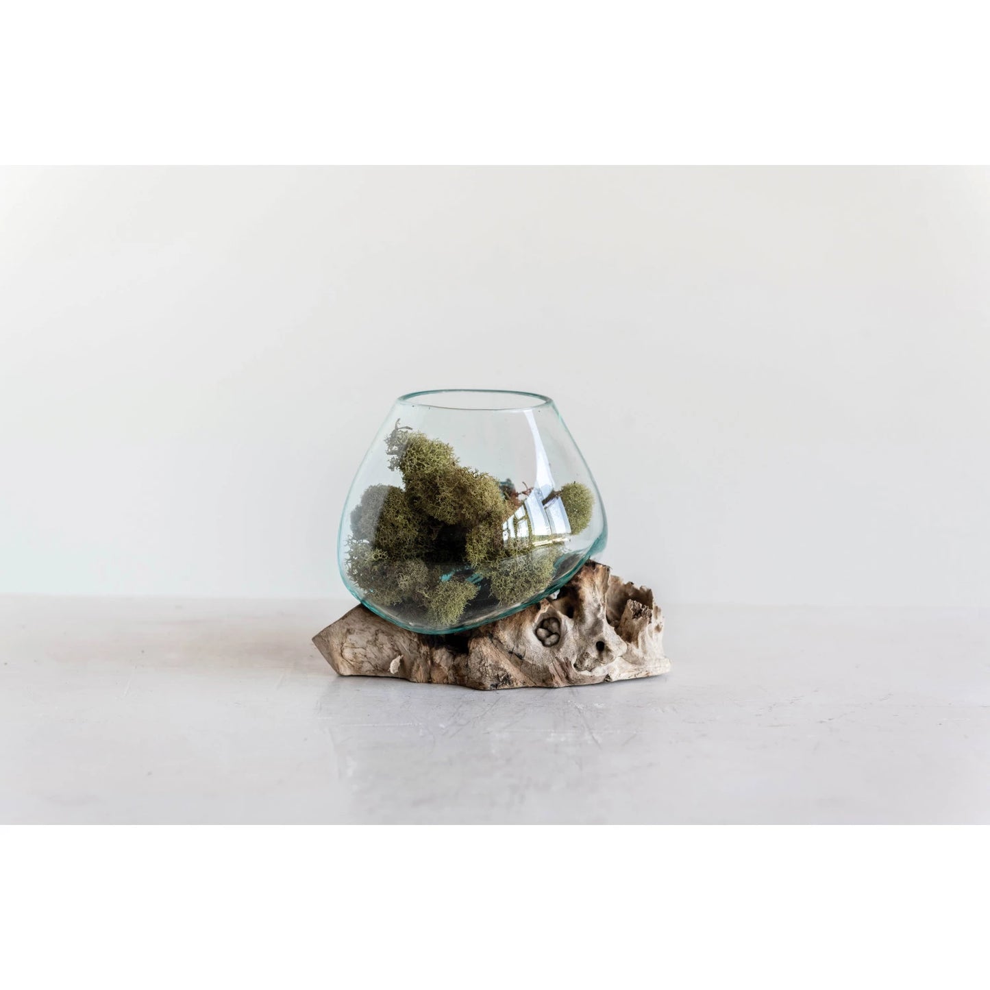 Glass Planter/Vase on Natural Wood Base