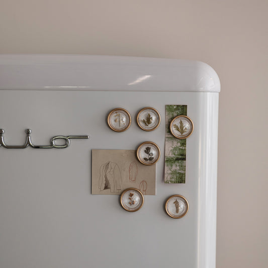 Resin Convex Magnets on Metal Card with Botanicals