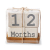 Milestone Baby Block Set