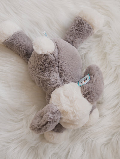 Jellycat Smudge Puppy