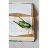 2-1/4"H Hand-Painted Glass Grasshopper Ornament, Green and Pink